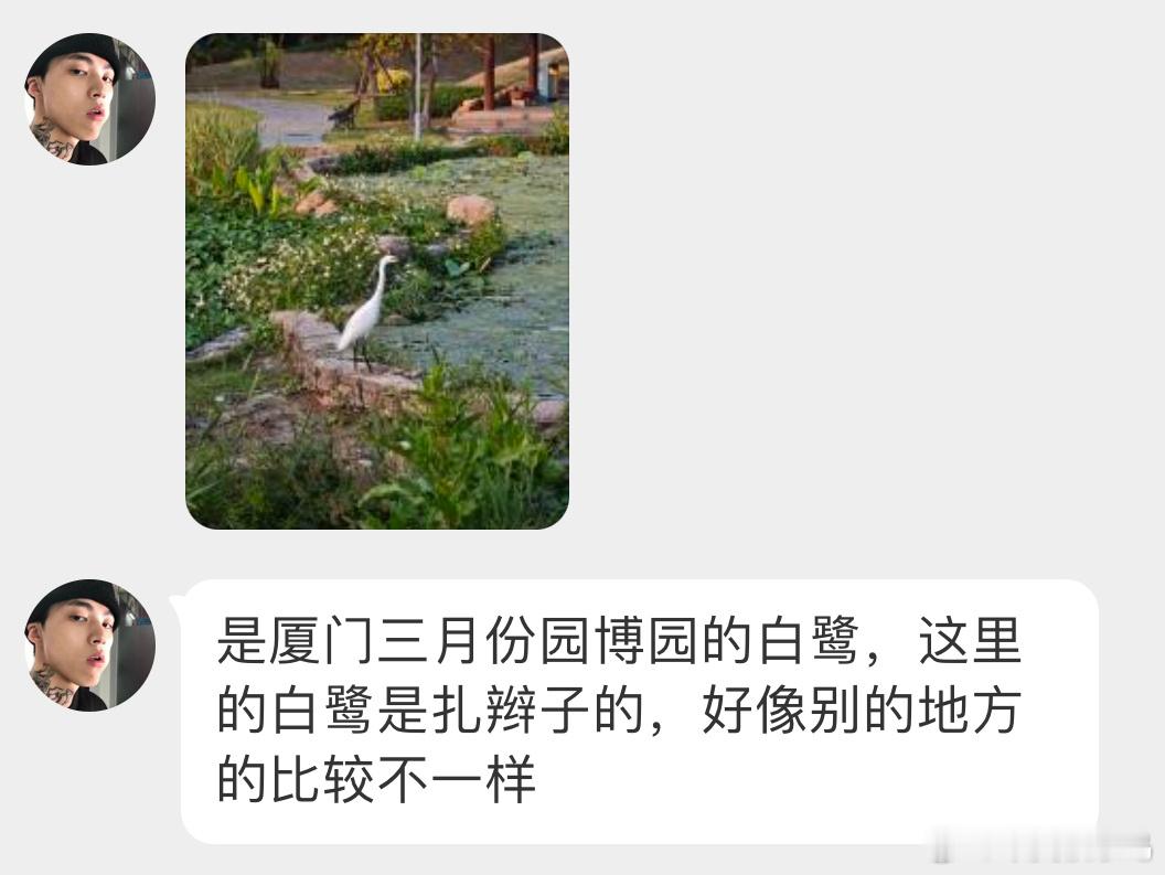 鸟粉投稿夕阳下的【小白鹭】气质看着是比某鹭优雅些许🙊图2像转身背手的干部哈哈
