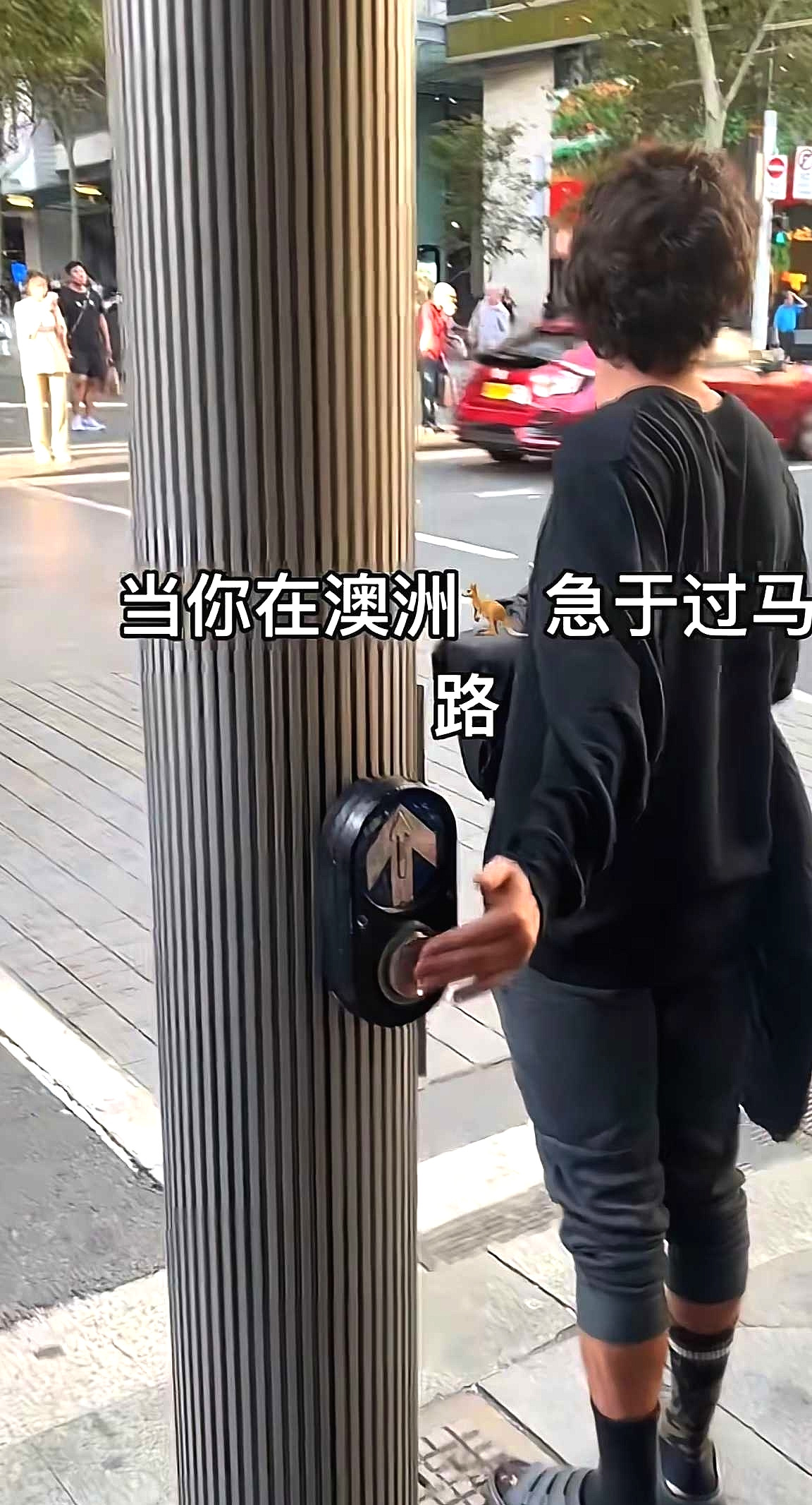 当你在澳洲急于过马路时…