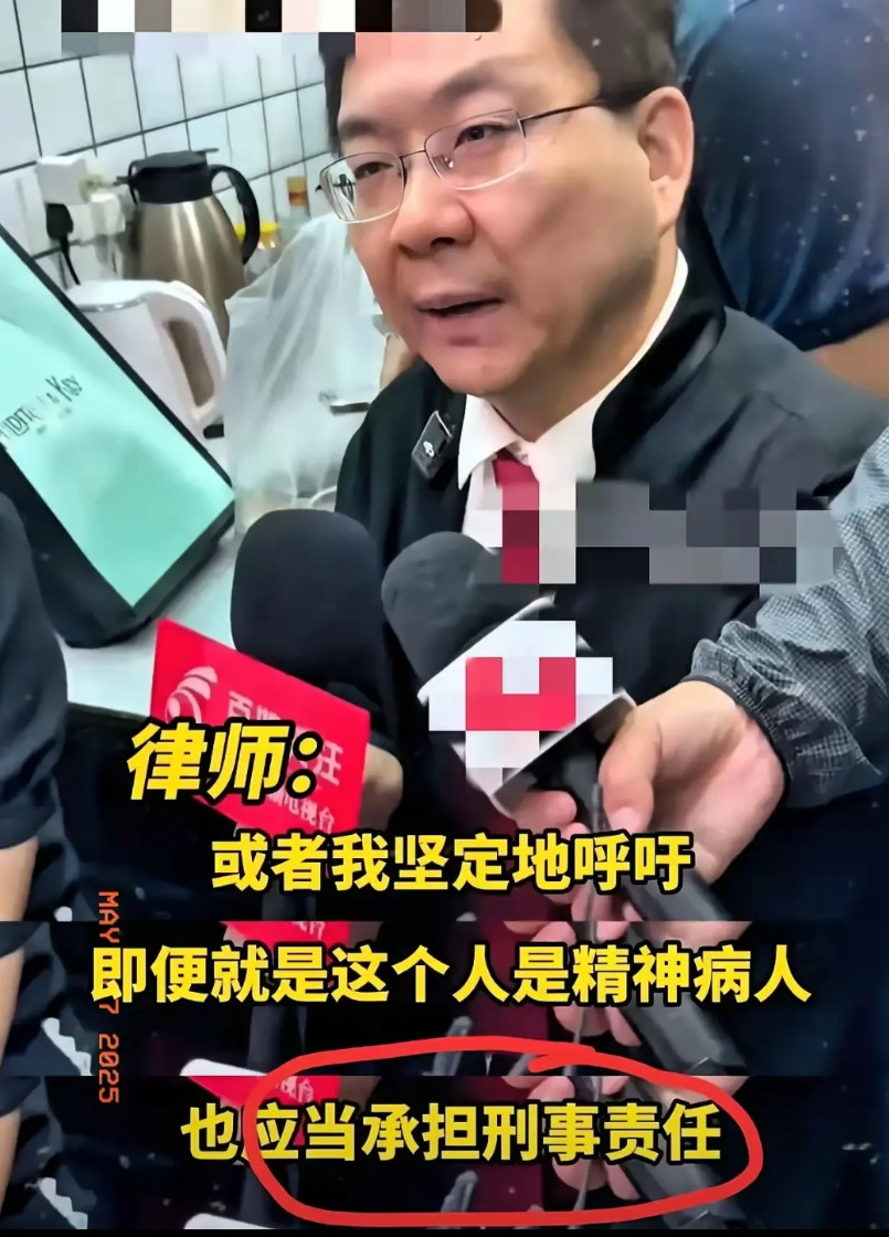 这句话说的实在是太好了：“难道正常人的命不比精神病人值钱吗？为什么要保护犯罪的精