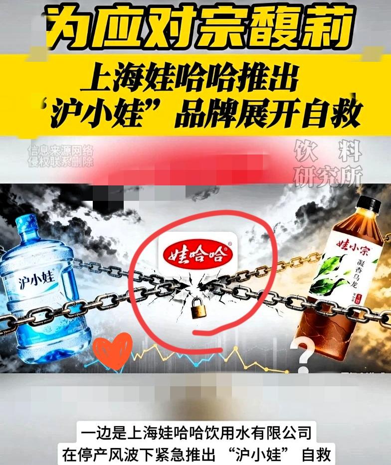 又冒出一个“沪小娃”，宗馥莉堂兄掀桌了！“娃小宗”还没站稳，“沪小娃”就杀出来