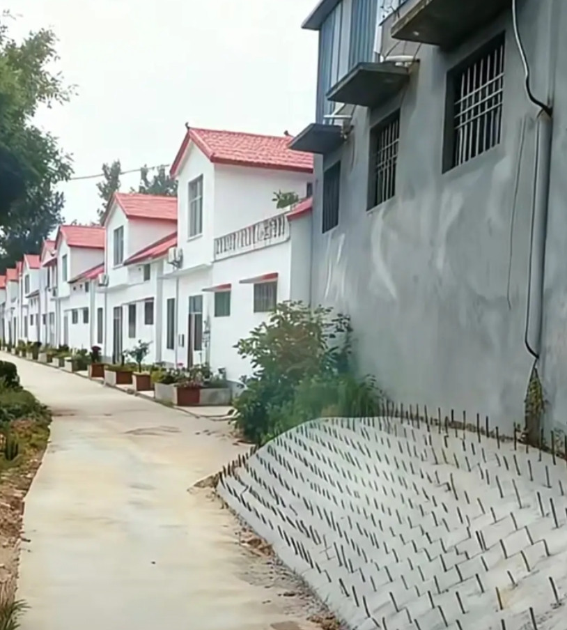 如果你是村干部，遇到这种不讲道理，且毫无公德心的人，该如何处理？