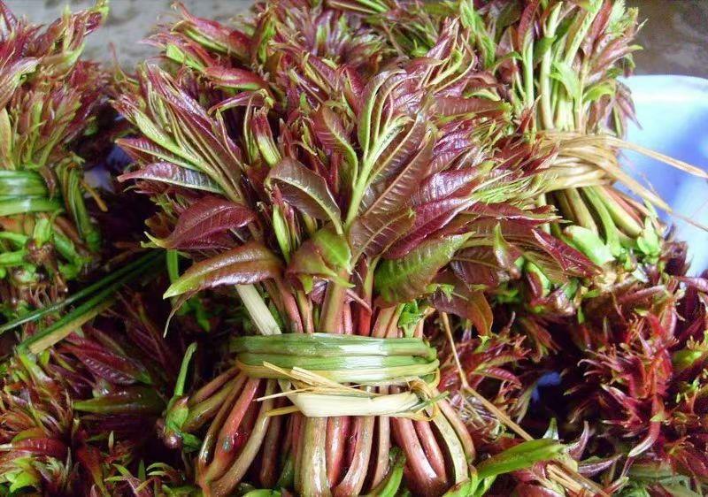 刚刚在早市买了一把这个菜，准备摊菜饼，您认识这种菜吗？