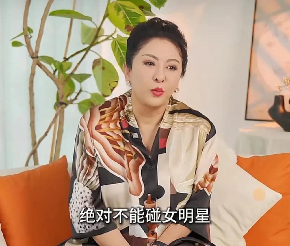 向太：“我和我老公说过，我的底线是绝对不能碰女明星，我看每一家电影公司的老板都是