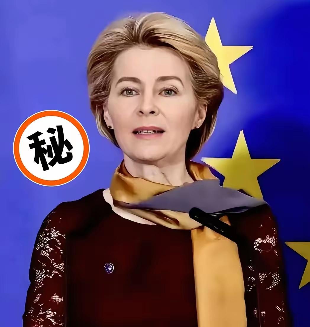 就在刚刚欧盟突然宣布了！ 10月24日，欧盟突然宣称，欧盟领导人10月2