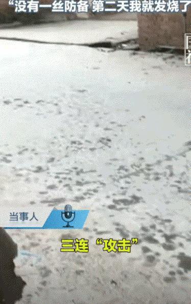太惊险！云南楚雄，女子刚踏出家门，就遭遇猫、松鼠、蛇连环三连吓，惊吓过度，第二天