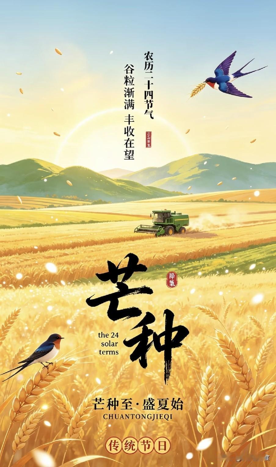 “三伏热不热，就看芒种”，5号芒种，今年三伏天很热吗？6月5日晚间迎来芒种