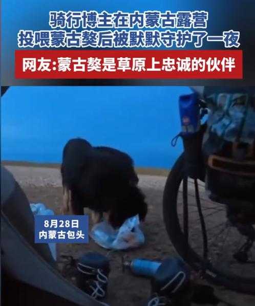 万物皆有灵！内蒙古一骑行男子夜晚在路边搭帐篷露营，面对荒无人烟的陌生环境心生害怕
