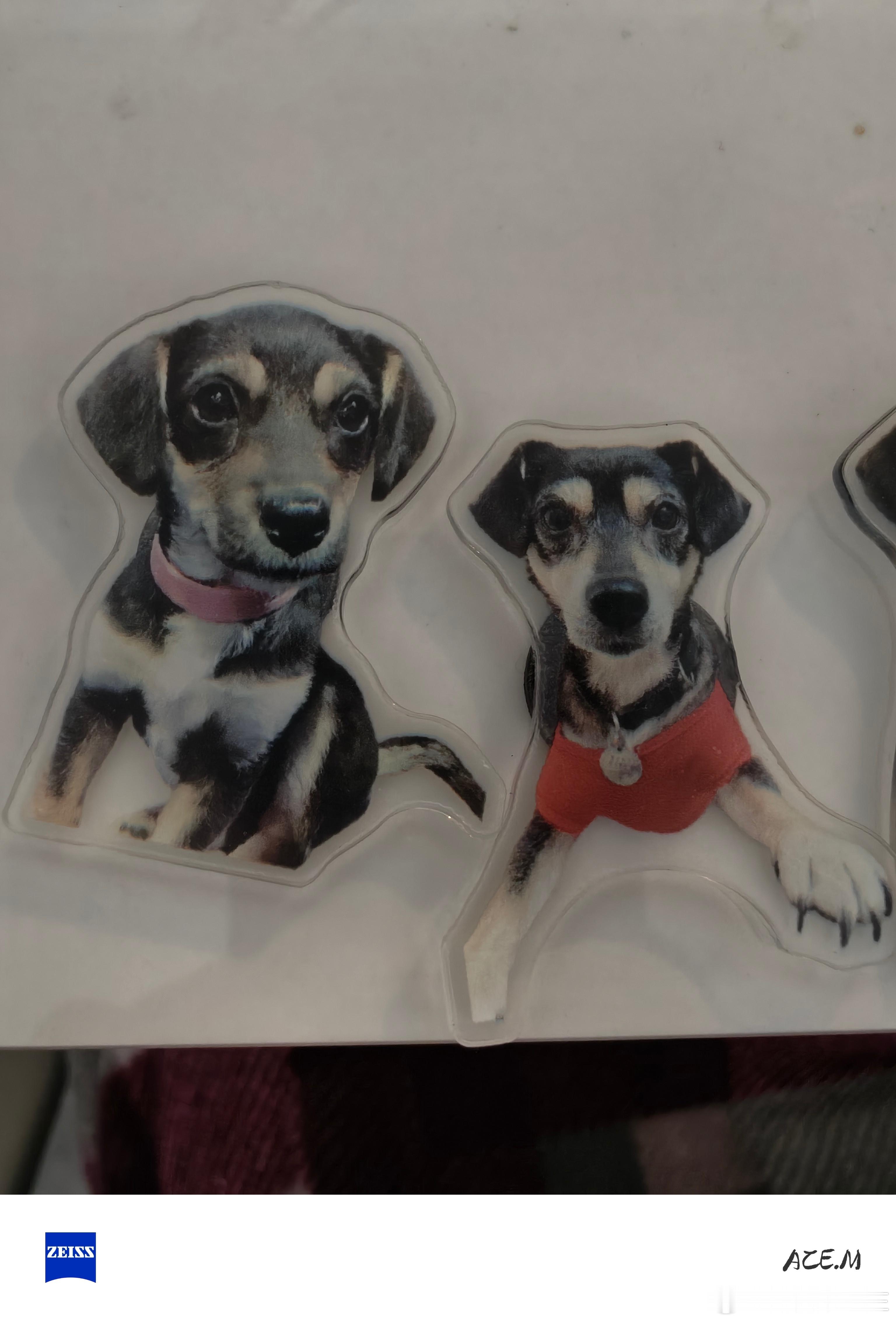 给刘开心做个冰箱贴，记录从小到大的变化狗子