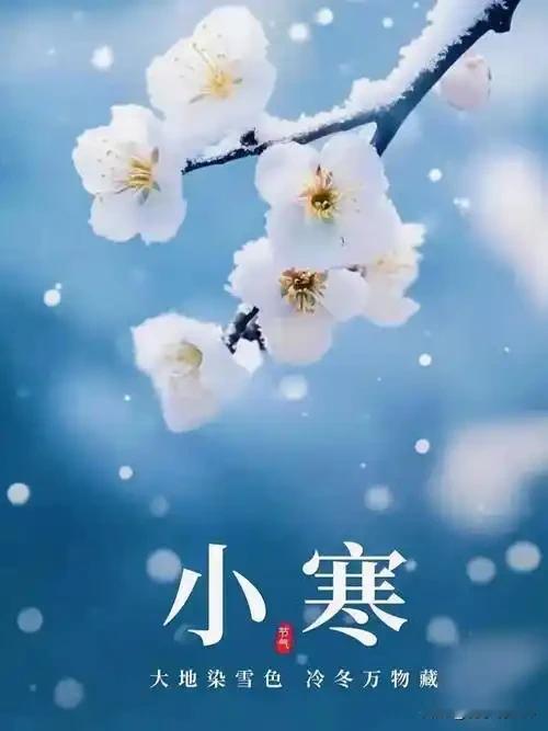 小寒伴“三九”，养生有艾灸，饮食重温补，避食生冷物。小寒是一年