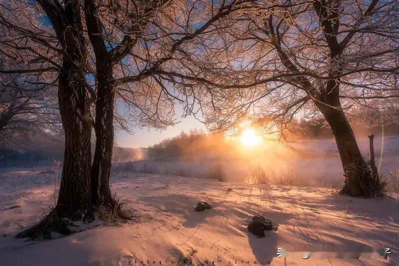 冬日生活打卡季冬日生活打卡季冬日，是个充满小确幸的季节。清晨，第一缕阳光洒在