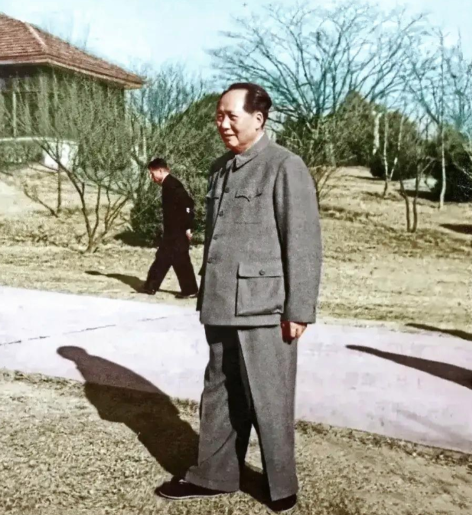 50年代，毛主席在东湖宾馆散步的一张留影，主席器宇轩昂！看这张拍摄于195