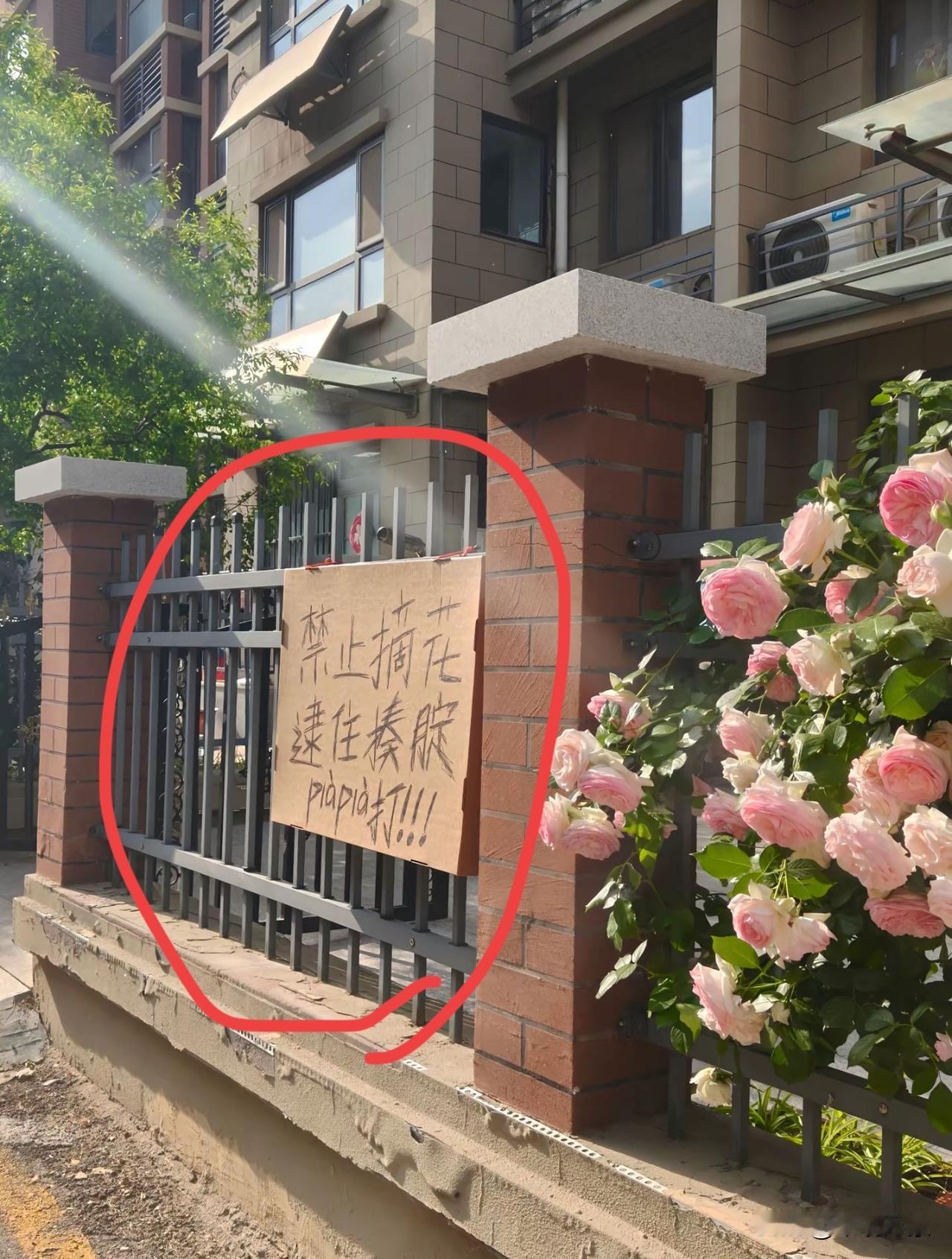 遇到好玩的标语＃上热门