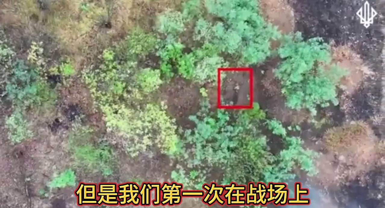 乌军第3独立旅斯巴塔营官兵爆料称，他们在前线战场上拍摄过形形色色的俄军士兵，有老
