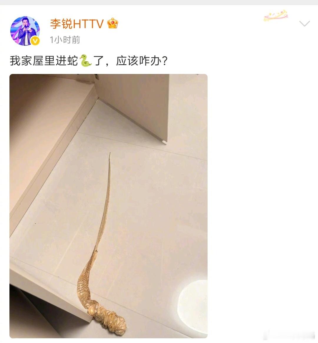 呃呃呃啊啊啊啊啊谨慎点开图片，李锐老师的家里出现了蛇褪下的皮，我麻了主持人李锐家
