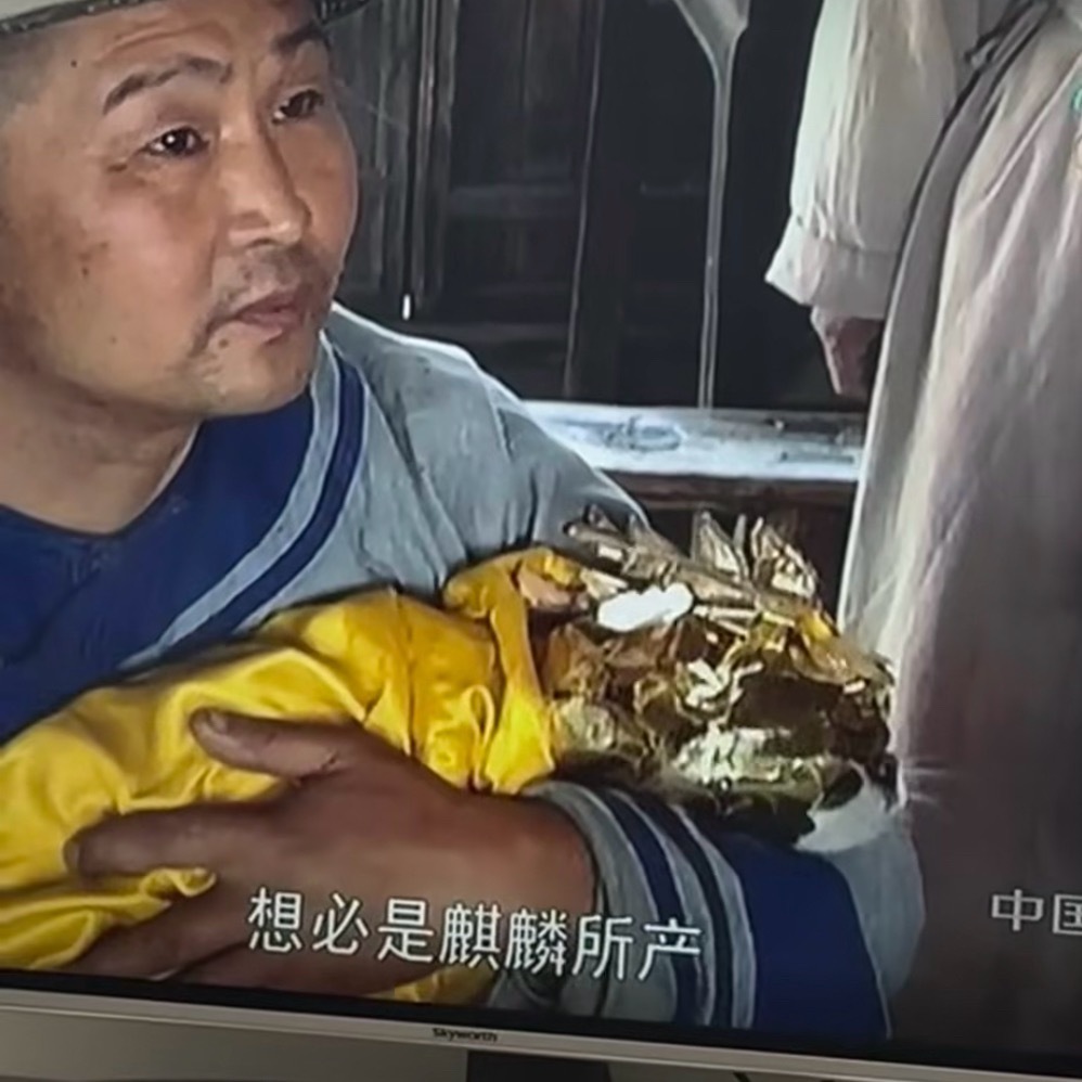 以前的电视剧这么抽象嘛宰相刘罗锅里面有一集给狗批上金色衣服当作麒麟敬献给皇帝！！