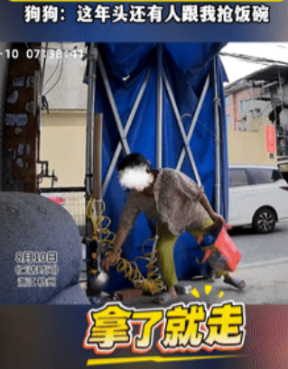 “缺德到家了！”浙江杭州，一男子给狗喂饭时，意外发现7元买的不锈钢狗盆不见了，他