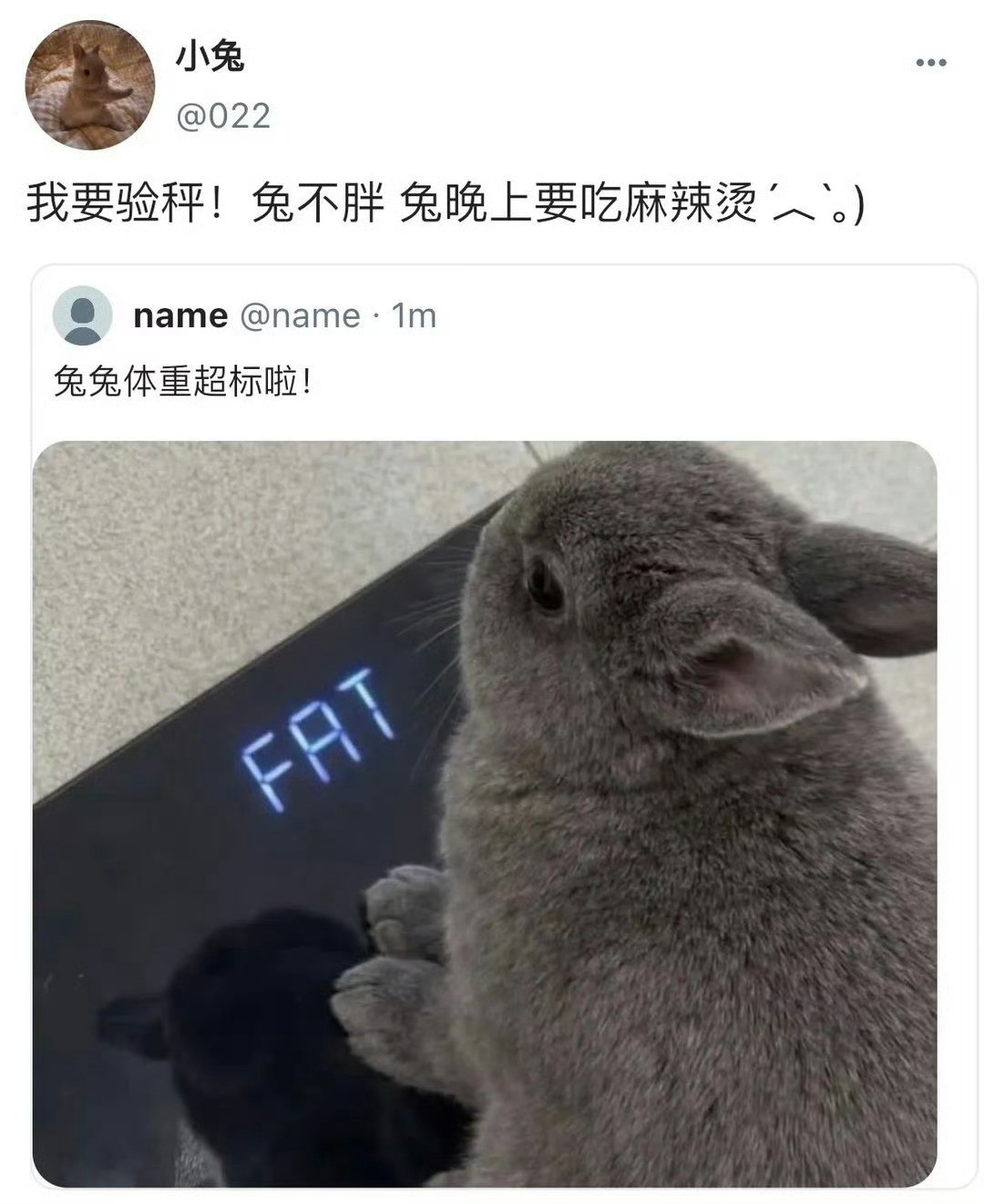 完全是猪子奇和兔小跃～🤏🤏