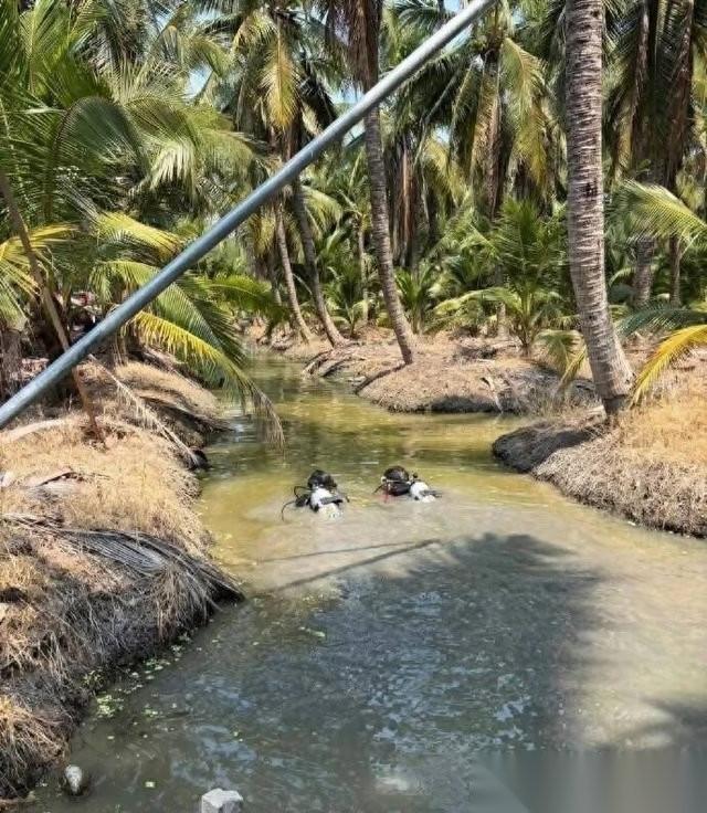 “救命！”这是34岁安徽女子季某失踪前最后的哀求。芭提雅的泳池派对，238公里