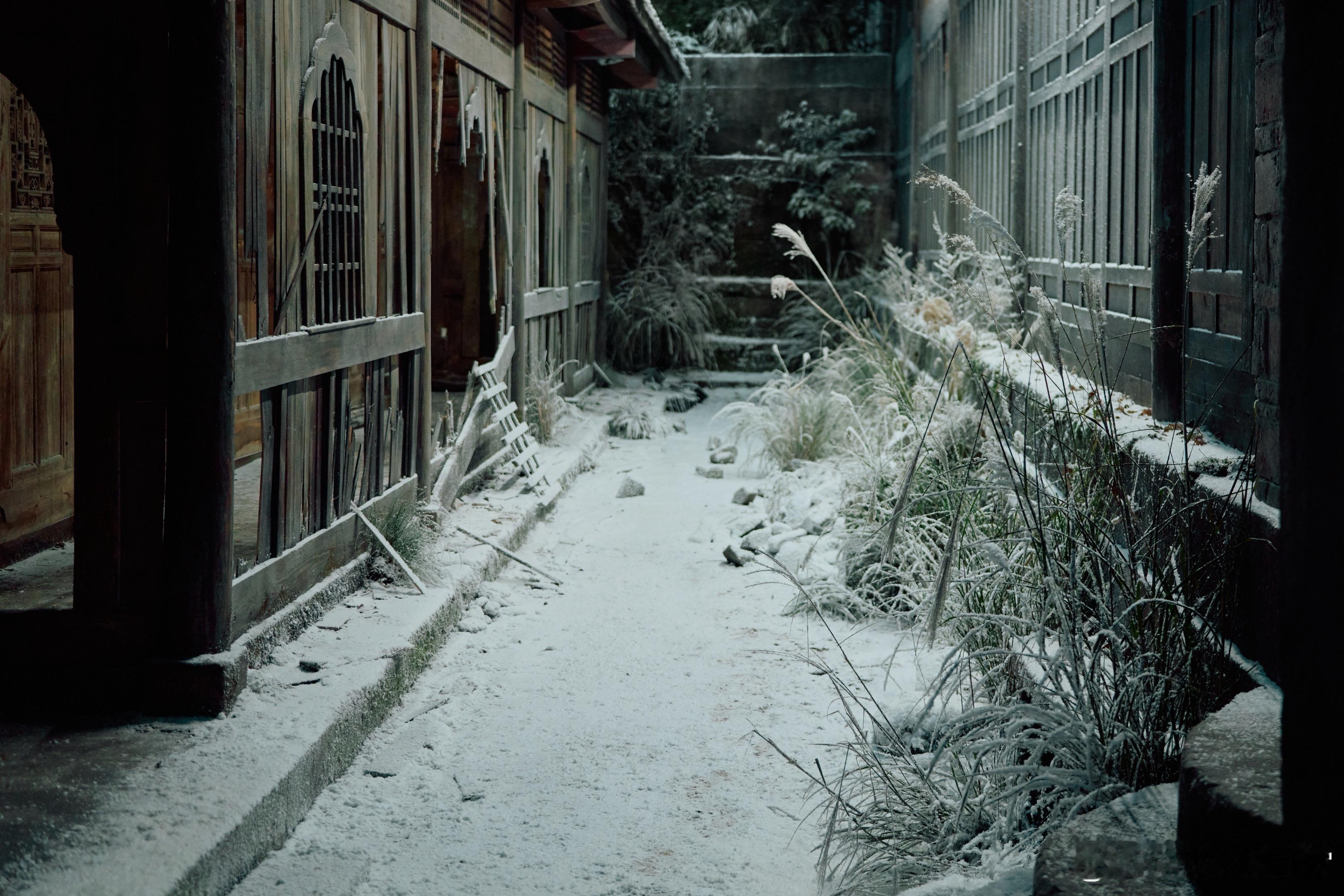 《狂野时代》是一场视觉盛宴！每一帧画面都精致得让人无法移开眼睛，尤其是那个暴风雪