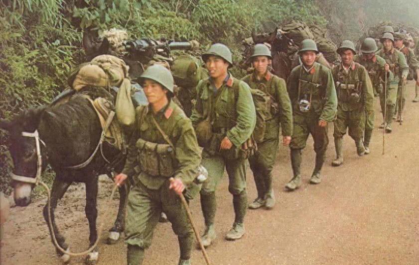 在1979年对越自卫反击战中，第50军所属部队因成建制投降，战后他们都受到了哪些