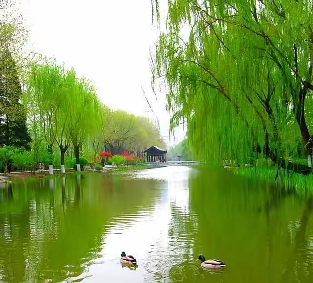 多读书的人，终会脱胎换骨常听人说要多读书，走过半生才懂：读书，是一个人最低