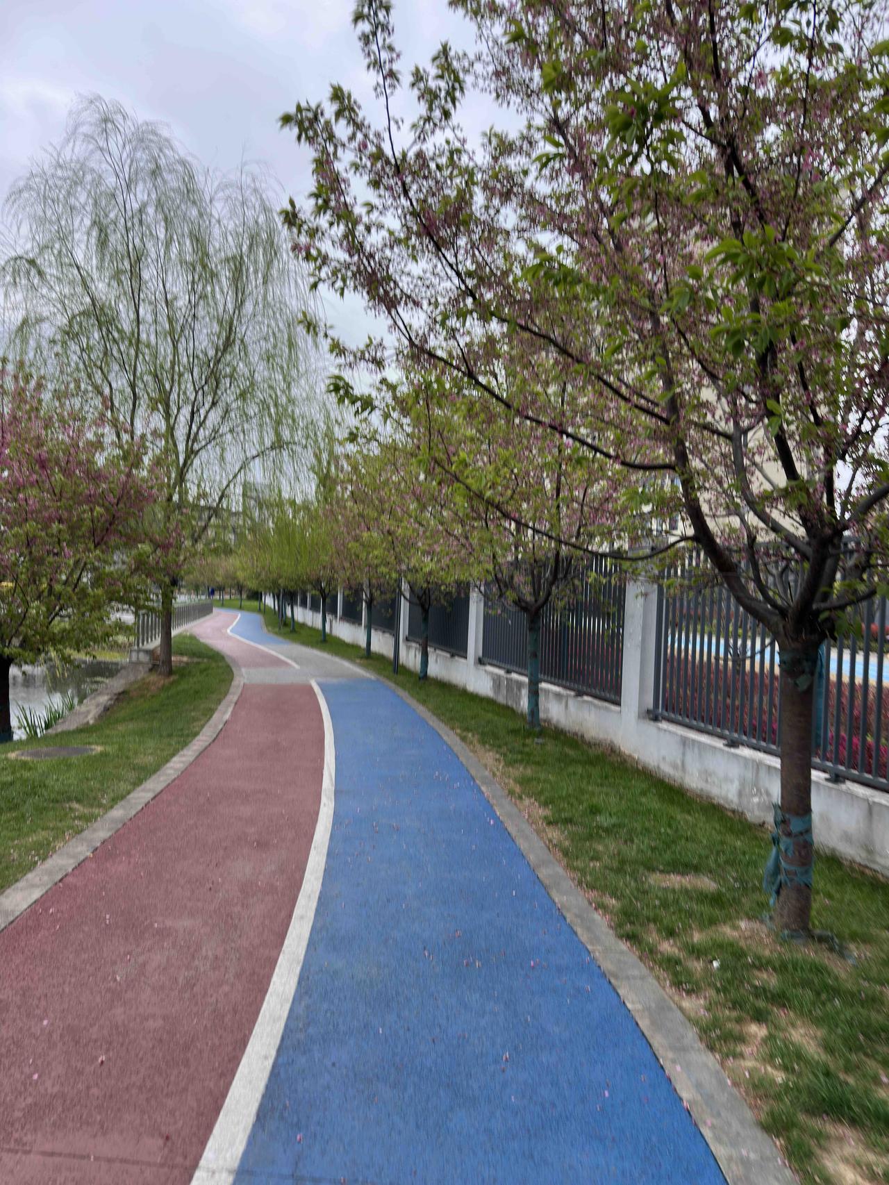 年纪大了，真的要注意脑出血这种疾病，如何防患于未然呢？路过这个美丽的公园偶遇