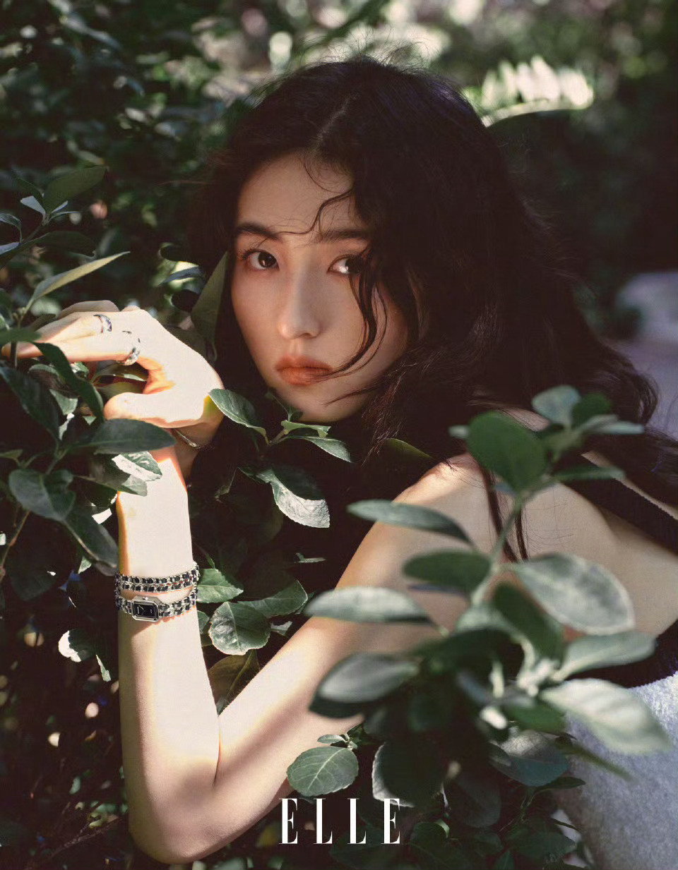 张子枫xCHANEL让人心情愉悦的一组时尚大片，如诗如画～​​​