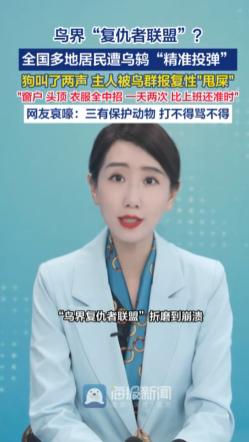 被乌鸫报复有多崩溃？4月27日报道，全国多地居民被轮班投弹、围堵呵斥，它能模仿人