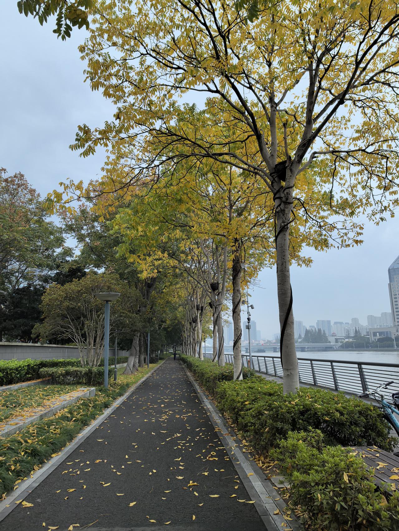 恢复晨跑第二次，我差点倒下。前天第一次恢复晨跑时，我的配速心率控制