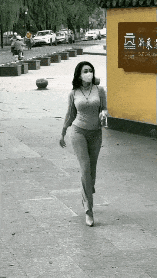 气质～潇洒走一回