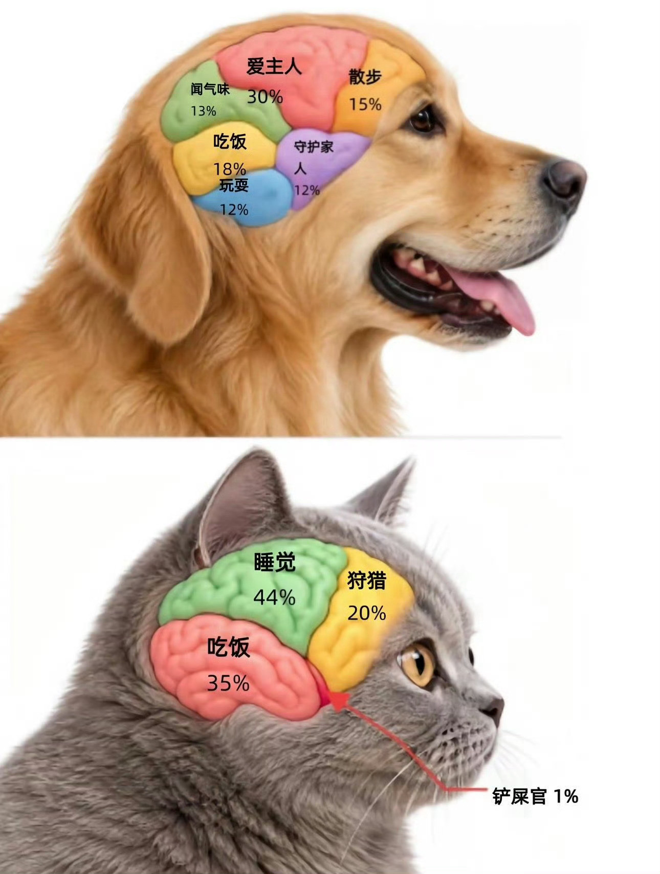 猫咪和狗子的区别：​​​
