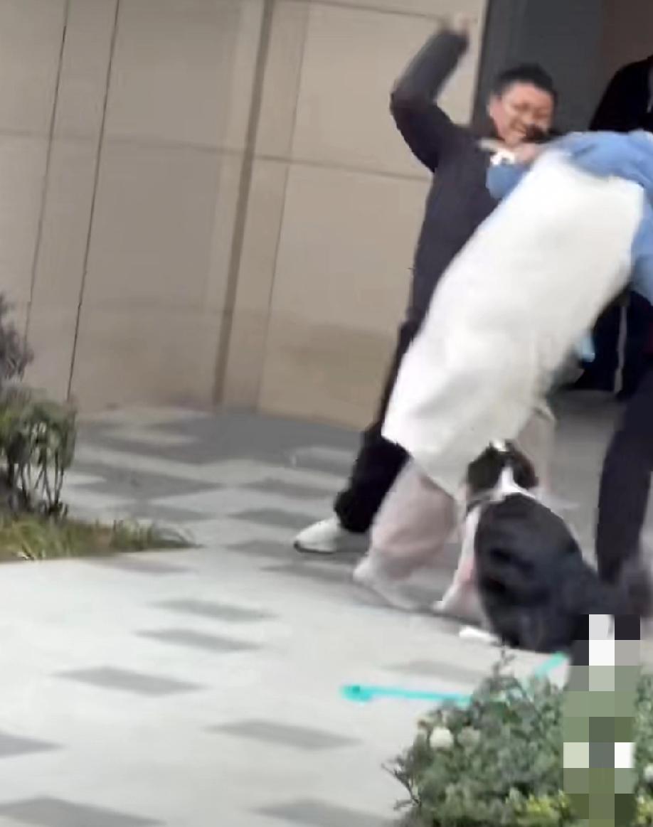 上海。一女子发视频称:自己所在的宠物友好小区，一女生在他们楼下牵绳遛狗过程中，跟