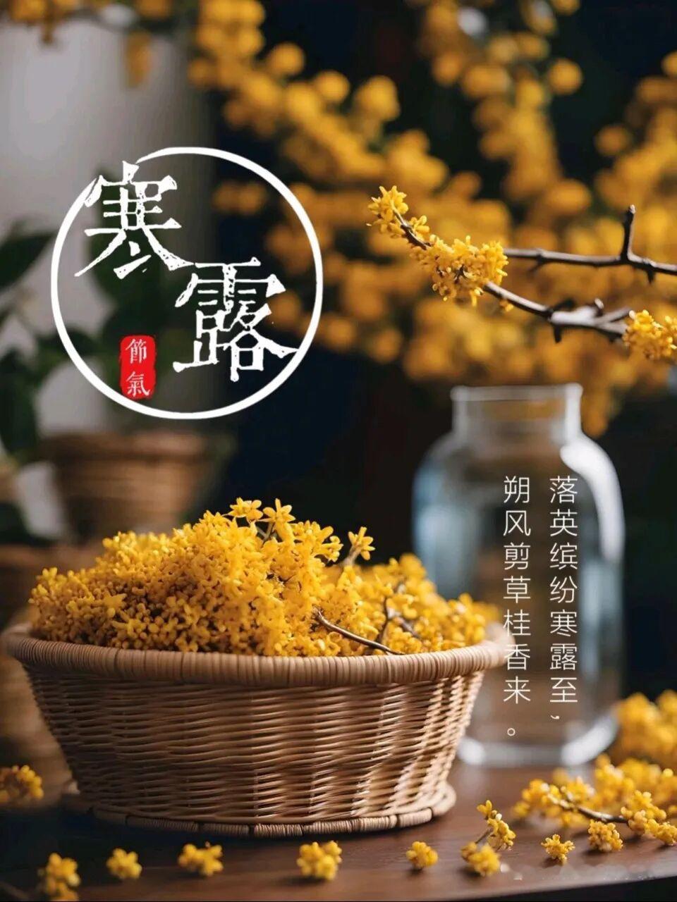 𝔹𝕖𝕤𝕥𝕨𝕚𝕤𝕙𝕖𝕤𝕗𝕠𝕣𝕪𝕠𝕦 🍂风