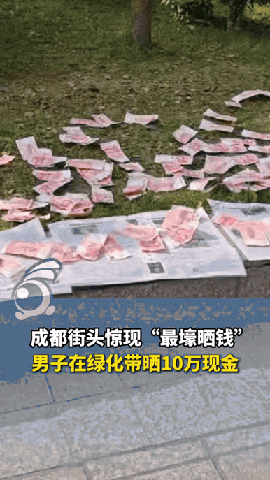 主人怕狗狗扰民，没打骂没嫌弃，反而用唱歌哄睡这种温柔到极致的方式解决问题，狗狗能