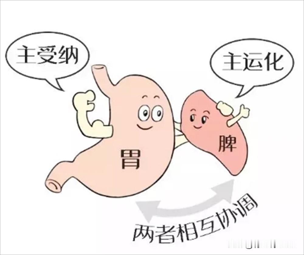 你是“脾气虚”“脾阳虚”还是“脾阴虚”？3分钟分清，6个中成药对症调理脾胃