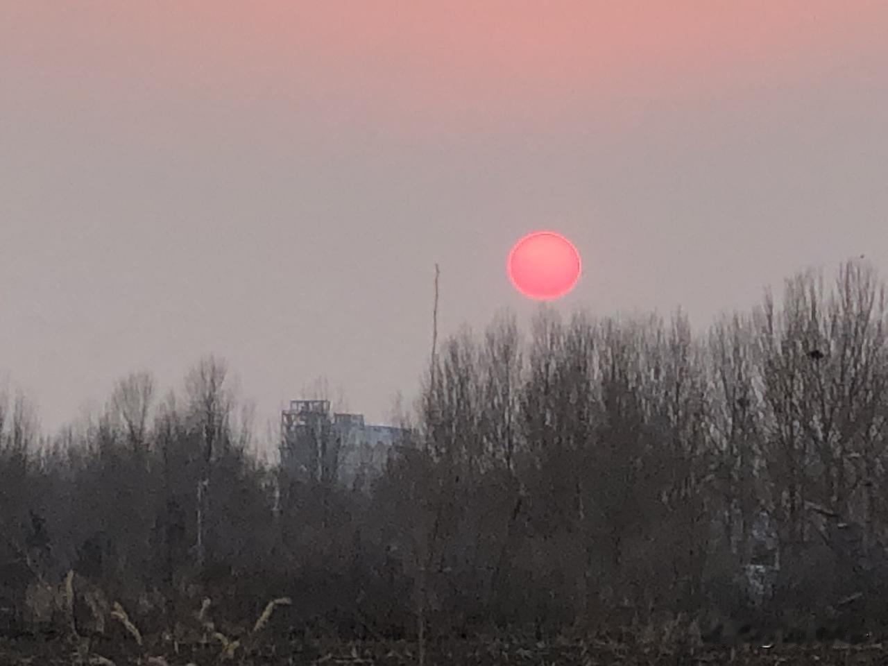 海南人狂喜！岛内居民专属免税店杀疯了，2月11日直接冲海南终于有岛内居民专属