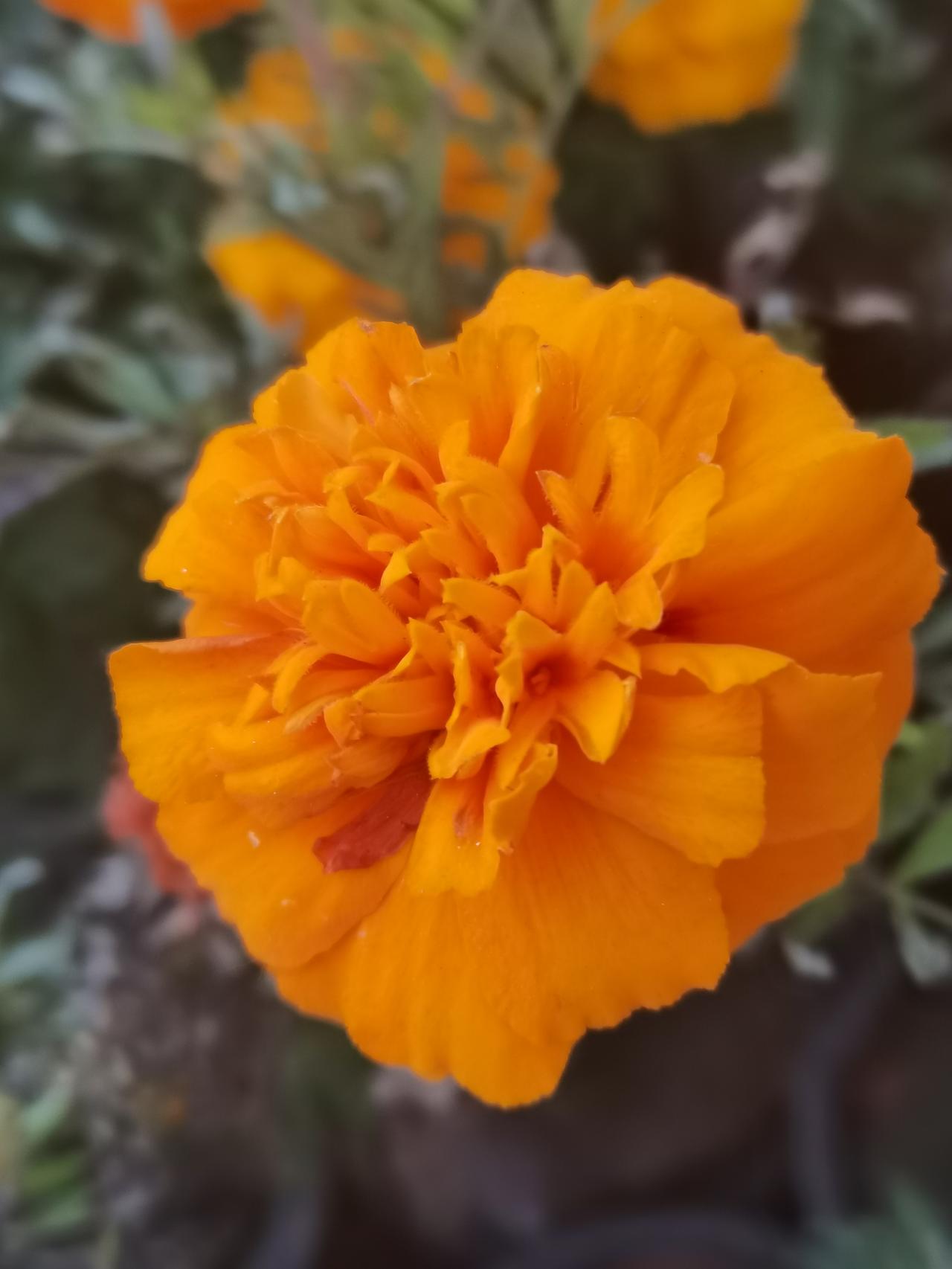 婆媳相处需感恩，家和才能万事兴！刚刷到个视频，看了以后真是深有感触。闺