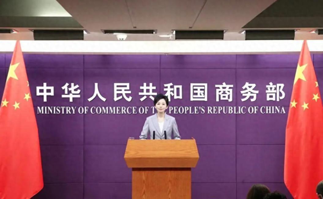 全世界都以为华盛顿那根制裁大棒一挥，谁也不敢再去触碰中东的利益蛋糕。但这回，中方