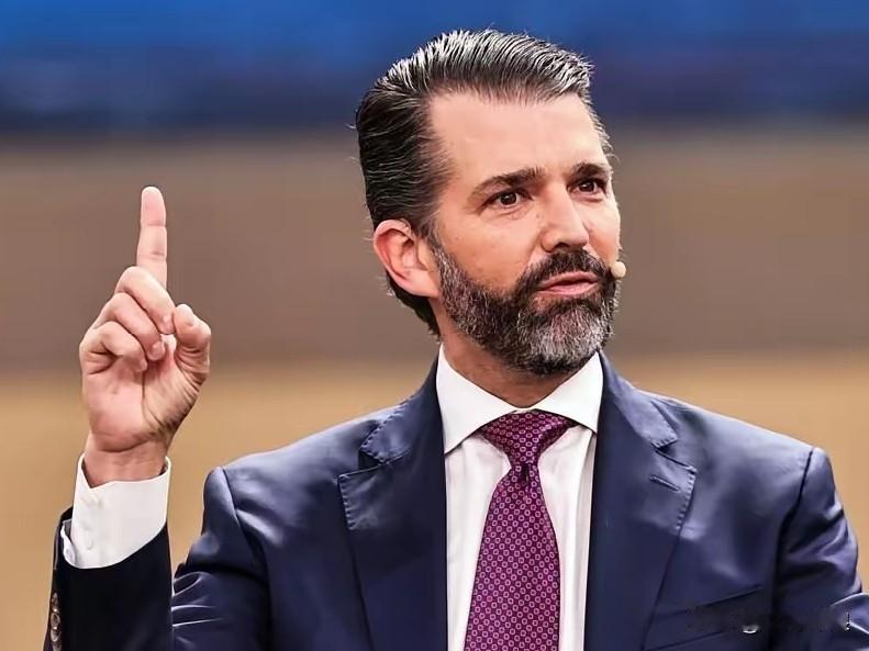 小特朗普语出惊人！刚刚小唐纳德.特朗普表示种种迹象表明乌克兰的腐败到