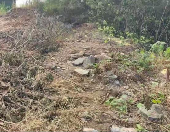 “缺大德了！”山东济南，一男子扫墓时，惊讶的发现18座先祖坟墓，8座被施工挖掘损