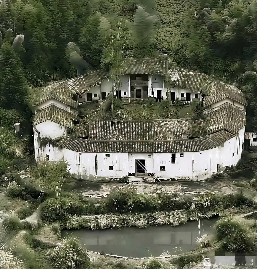 这算是世外桃源吗？如果一天给你1000元钱，你能来住吗？