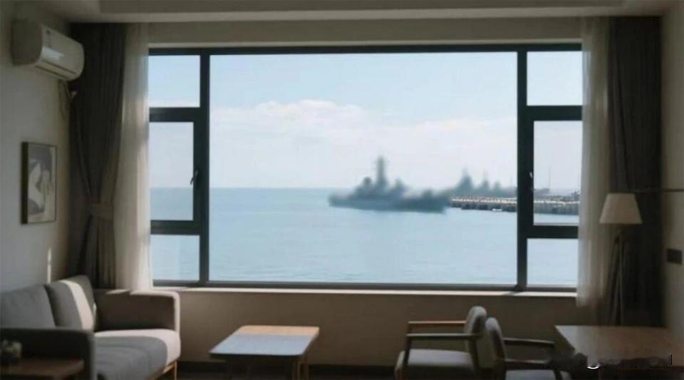 滨海小镇海景民宿里藏了个间谍，偷偷拍军港的军舰动态。这客人线上订了连续多日的房