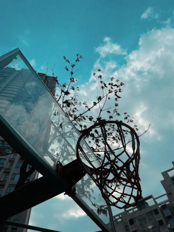 大概率杨会排名超过周琦截至2025年10月28日，中国球员NBA生涯得分排名如