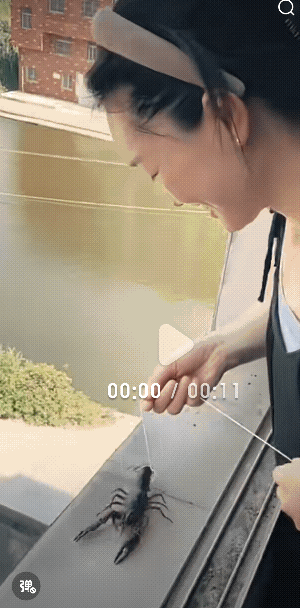“太机智了”一美女家里的内裤从家里掉到下面。看她是怎么拿上来的？小龙虾都惊呆了，