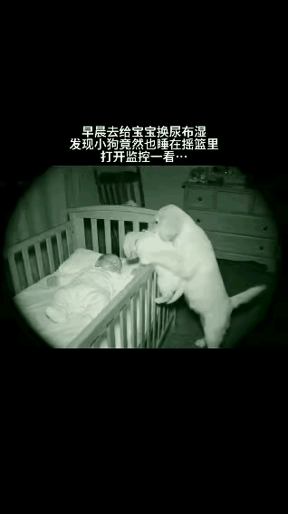 凌晨的婴儿房里上演了一场温馨的