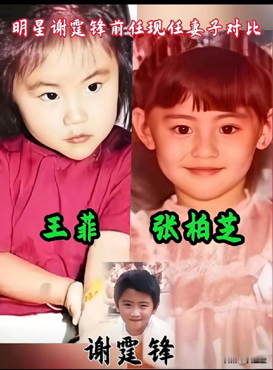 更喜欢张柏芝，人漂亮，人美心善，优秀伟大的好母亲！谢霆锋前任妻子与现任妻