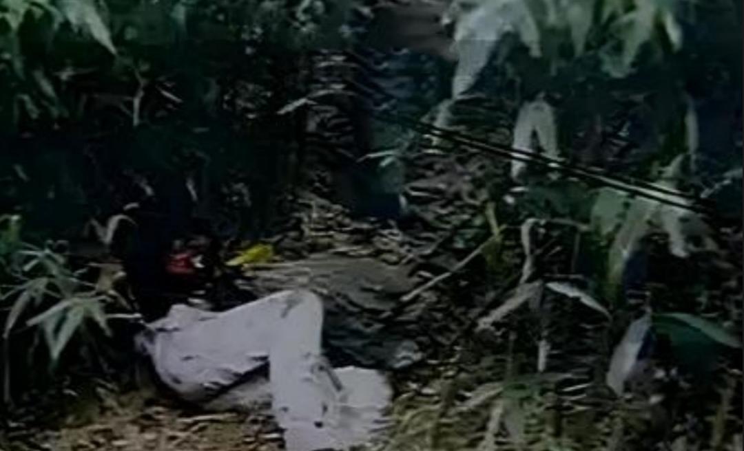 1992年捡油茶果竟成催命符！两女子惨遭奸杀灭口，凶手作案后为何反常地不去围观？