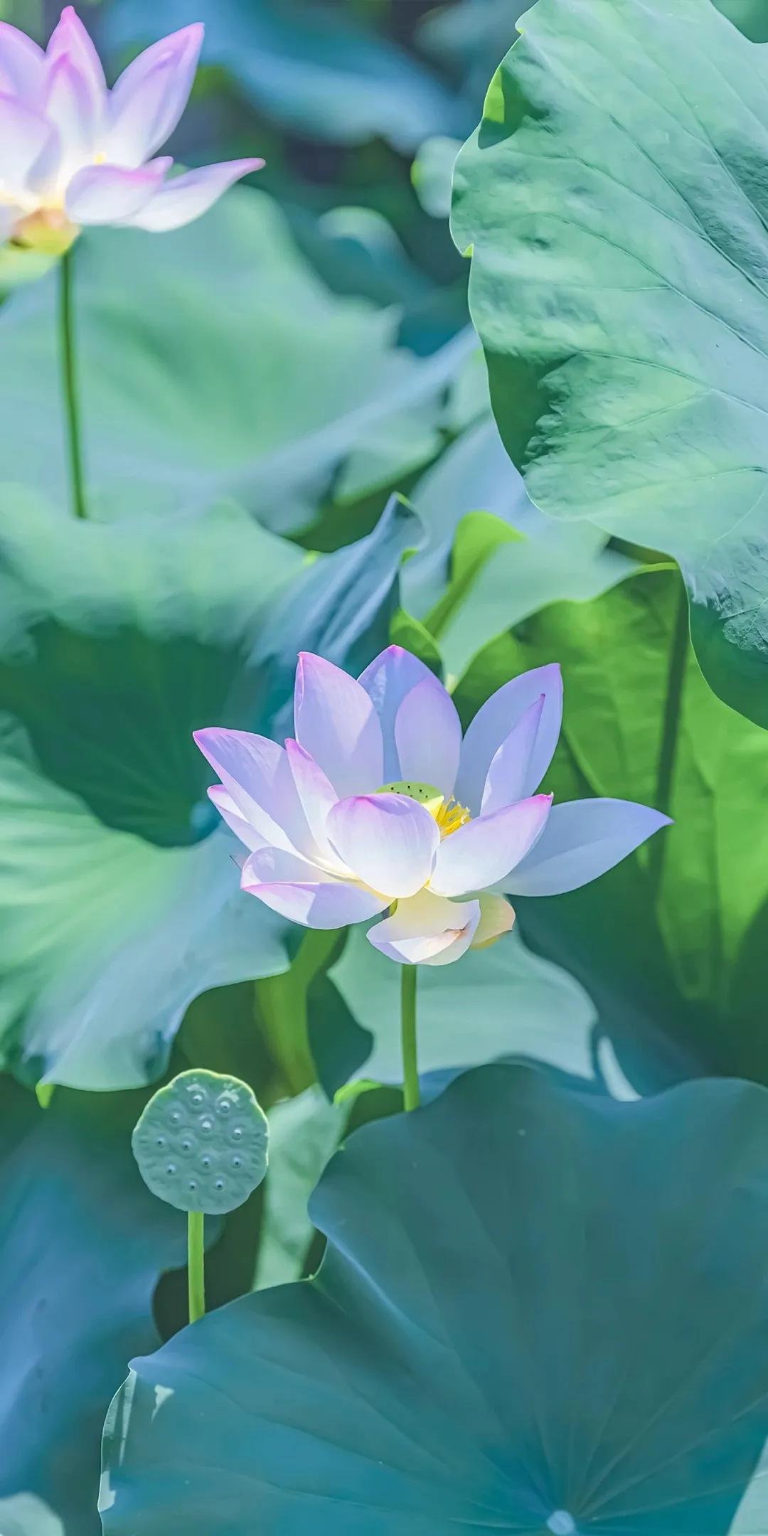 我发现：我对自己的生活很满意！1，我和丈夫，到手工资不到20000（扣去养老保