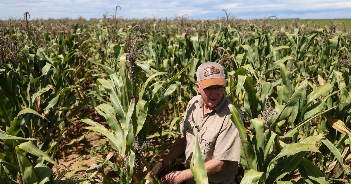 [TolearnEnglish]DerekMathewswatches