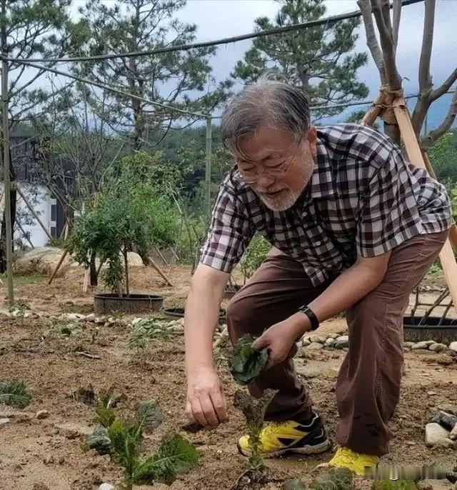 请记住这位老人，他就是韩国政坛唯一保持功成身退的总统，文在寅。2022年5月